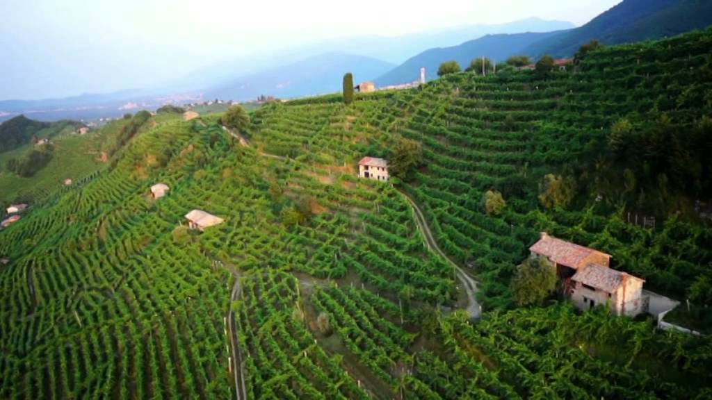 [ITA] Conegliano Valdobbiadene Prosecco Superiore